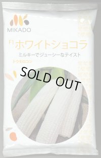 [とうもろこし] ホワイトショコラ 2000粒 ヴィルモランみかど（株）
