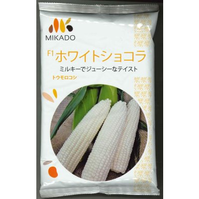 画像1: [とうもろこし]　ホワイトショコラ　2000粒　ヴィルモランみかど（株）