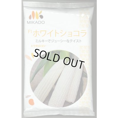 画像1: [とうもろこし] ホワイトショコラ 2000粒 ヴィルモランみかど（株）
