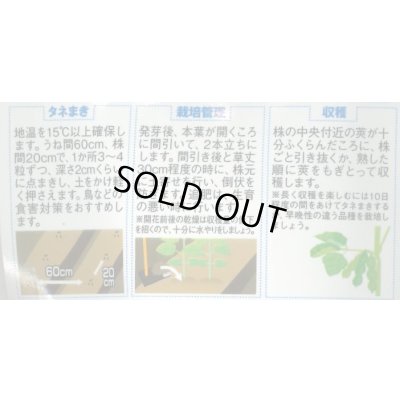 画像4: 送料無料　[枝豆]　たっぷり　33ml（約66粒） （株）サカタのタネ実咲350（107806）