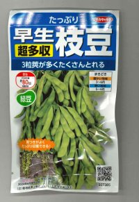 送料無料　[枝豆]　たっぷり　33ml（約66粒） （株）サカタのタネ実咲350（107806）