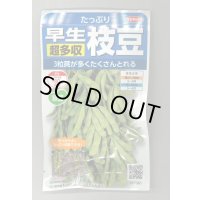 送料無料　[枝豆]　たっぷり　33ml（約66粒） （株）サカタのタネ実咲350（107806）