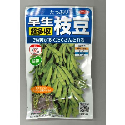 画像1: 送料無料　[枝豆]　たっぷり　33ml（約66粒） （株）サカタのタネ実咲350（107806）