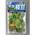 画像1: 送料無料　[枝豆]　たっぷり　33ml（約66粒） （株）サカタのタネ実咲350（107806） (1)