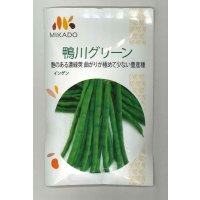 送料無料　[いんげん]　鴨川グリーン　30ml　ヴィルモランみかど（株）