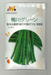 送料無料　[いんげん]　鴨川グリーン　30ml　ヴィルモランみかど（株）