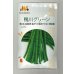 画像1: 送料無料　[いんげん]　鴨川グリーン　30ml　ヴィルモランみかど（株） (1)