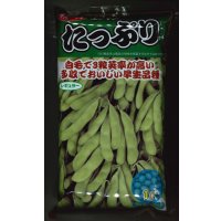 [枝豆]　たっぷり　1L （株）サカタのタネ