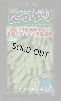 [枝豆] たっぷり 1L （株）サカタのタネ