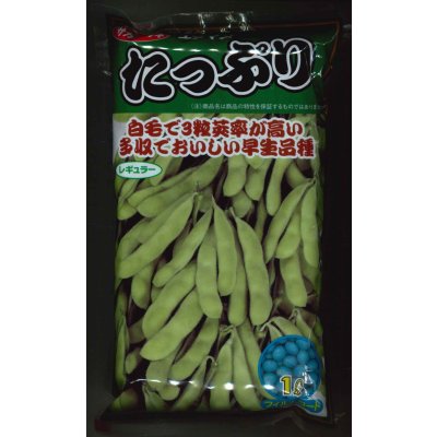 画像1: [枝豆]　たっぷり　1L （株）サカタのタネ