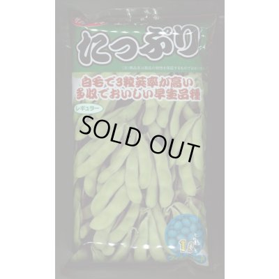 画像1: [枝豆]　たっぷり　1L （株）サカタのタネ