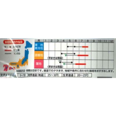 画像5: 送料無料　[枝豆]　たっぷり　1dl  （株）サカタのタネ