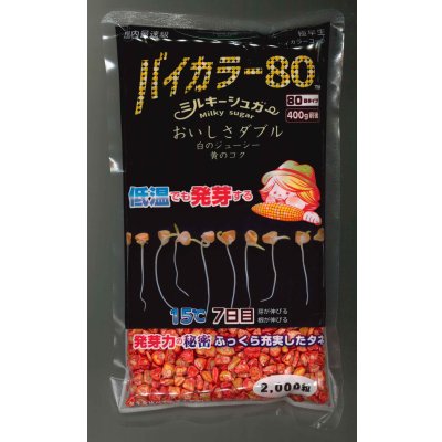 画像1: [とうもろこし]　ミルキーシュガーバイカラー80　2000粒　トキタ種苗(株)