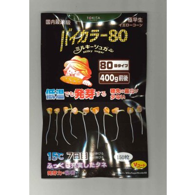 画像1: 送料無料　[とうもろこし]　ミルキーシュガーバイカラー80　150粒　トキタ種苗(株)