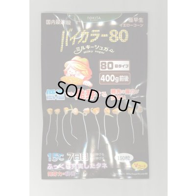 画像1: [とうもろこし] ミルキーシュガーバイカラー80 150粒 トキタ種苗(株)