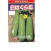 画像1: 送料無料　[瓜類]　白はぐら瓜　100粒　渡辺農事(株) (1)