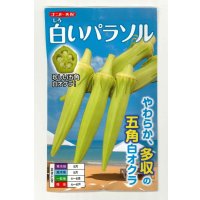 送料無料　[オクラ]　白いパラソル　50粒　ナント種苗(株)