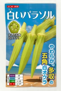 送料無料　[オクラ]　白いパラソル　50粒　ナント種苗(株)