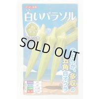 [オクラ] 白いパラソル 50粒 ナント種苗(株)
