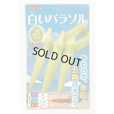 画像1: [オクラ] 白いパラソル 50粒 ナント種苗(株)
