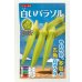 画像1: 送料無料　[オクラ]　白いパラソル　50粒　ナント種苗(株) (1)