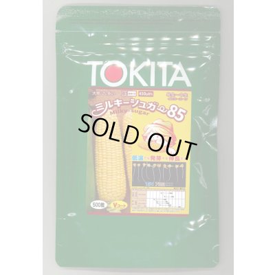 画像1: [とうもろこし] ミルキーシュガー85 500粒 トキタ種苗(株)