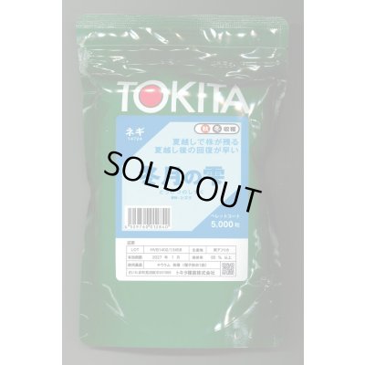 画像1: [ねぎ]　冬月の雫　ペレット種子5000粒　トキタ種苗（株）