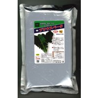 [ほうれんそう]　ほうれんそう　プリウスベータ　　3万粒（種子サイズ：L）　トキタ種苗(株)