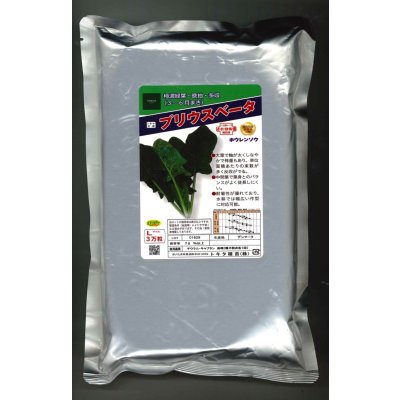 画像1: [ほうれんそう]　ほうれんそう　プリウスベータ　　3万粒（種子サイズ：L）　トキタ種苗(株)