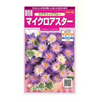 送料無料　花の種　マイクロアスター　ステラトップブルー　小袋　(株)サカタのタネ　実咲350（026092）