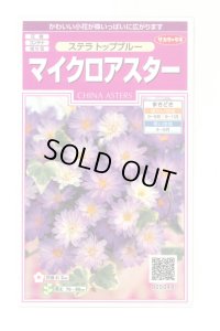 花の種 マイクロアスター ステラトップブルー 小袋 (株)サカタのタネ 実咲350(026092)