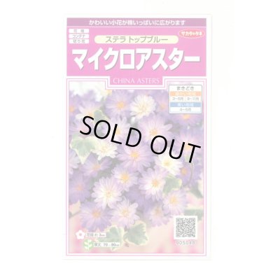 画像1: 花の種 マイクロアスター ステラトップブルー 小袋 (株)サカタのタネ 実咲350(026092)