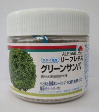 [レタス]　グリーンサンバ　ペレット種子　5000粒　タキイ種苗(株)