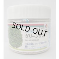 [レタス]　グリーンサンバ　ペレット種子　5000粒　タキイ種苗(株)