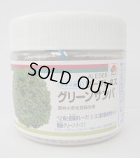 [レタス]　グリーンサンバ　ペレット種子　5000粒　タキイ種苗(株)