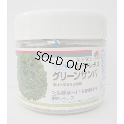 画像1: [レタス]　グリーンサンバ　ペレット種子　5000粒　タキイ種苗(株)