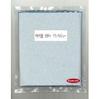 送料無料 [かぼちゃ] ブラックのジョー 500粒 (株)サカタのタネ