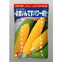[とうもろこし]　あまいんですパワー85　200粒　渡辺農事(株)