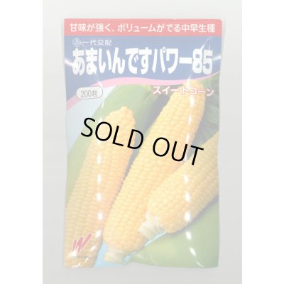 画像1: [とうもろこし] あまいんですパワー85 200粒 渡辺農事(株)