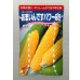 画像1: [とうもろこし]　あまいんですパワー85　200粒　渡辺農事(株) (1)
