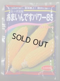 [とうもろこし]　あまいんですパワー85　2000粒　渡辺農事(株)