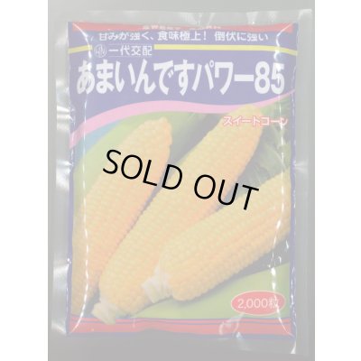 画像1: [とうもろこし]　あまいんですパワー85　2000粒　渡辺農事(株)