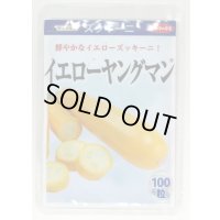 送料無料　[ズッキーニ]　イエローヤングマン　100粒　(株)サカタのタネ