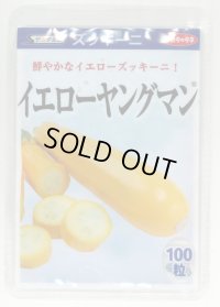 送料無料　[ズッキーニ]　イエローヤングマン　100粒　(株)サカタのタネ