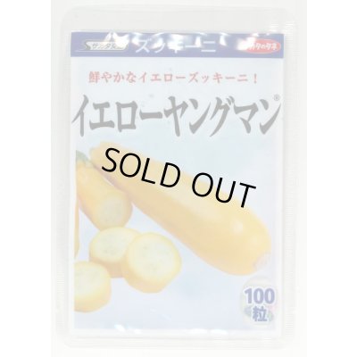 画像1: [ズッキーニ] イエローヤングマン 100粒 (株)サカタのタネ