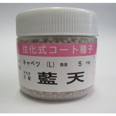 画像1: 送料無料 [キャベツ] 藍天 ペレット種子 5000粒 （株）サカタのタネ