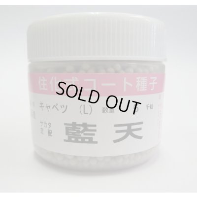 画像1: 送料無料 [キャベツ] 藍天 ペレット種子 5000粒 （株）サカタのタネ