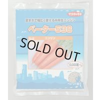 [人参] ベーター536 ペレット1万粒 （株）サカタのタネ