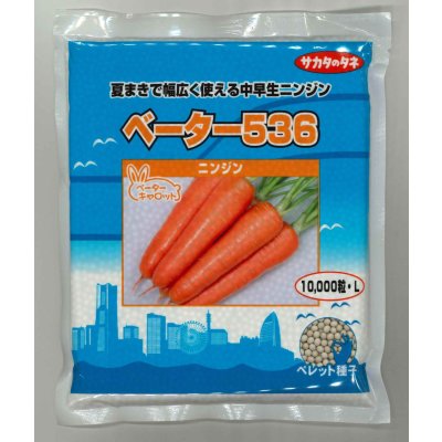 画像1: [人参] ベーター536 ペレット1万粒 （株）サカタのタネ