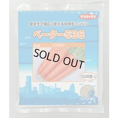 画像1: [人参] ベーター536 ペレット1万粒 （株）サカタのタネ